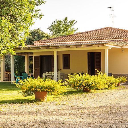 The Vineyards Bed and Breakfast Alghero Exteriör bild