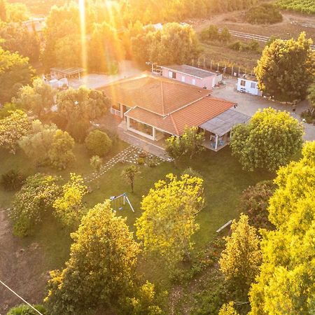 The Vineyards Bed and Breakfast Alghero Exteriör bild