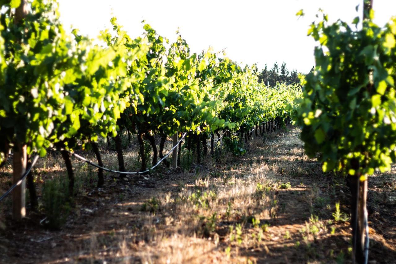 The Vineyards Bed and Breakfast Alghero Exteriör bild