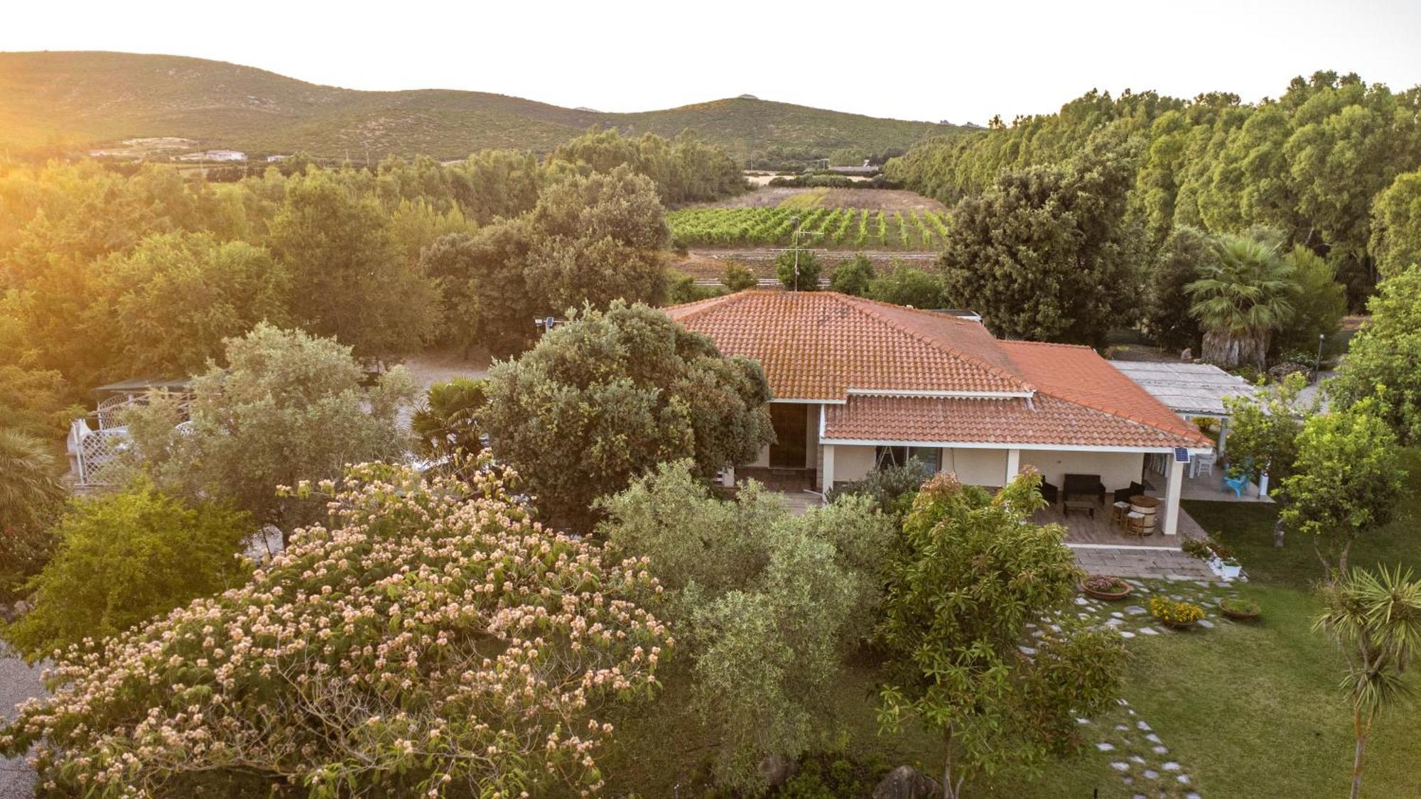 The Vineyards Bed and Breakfast Alghero Exteriör bild